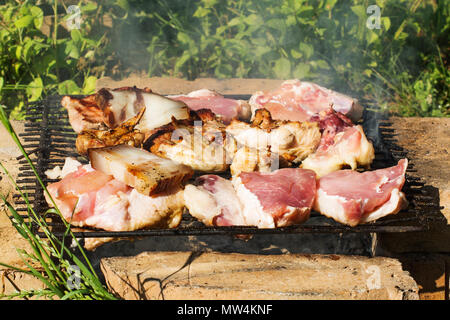 Einfache und primitive Grill. Schweinefleisch Steaks, Chicken Wings und Oberschenkel und Speck auf einem Grill Gitter auf die Oberseite der Steine. Roh- und gegrillte Fleischstücke. Stockfoto