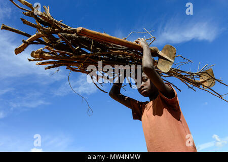 UGANDA, Karamoja, Kaabong, Karamojong junge tragen Brennholz und Hacke auf den Kopf/Karamojong Ethnie, Dorf Lochom, Junge traegt Feuerholz Stockfoto