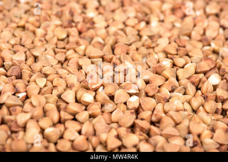 Vereinzelte Körner roher Buchweizen close up Stockfoto