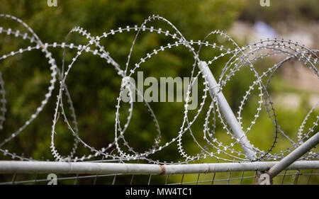 Barbed Wire Mesh metall Zaun, scharf mit Rasiermesser, Kreis. Warnung vor Gefahren und zum Schutz der Umgebung. Unscharfer Natur Hintergrund, die Ansicht zu schließen. Stockfoto