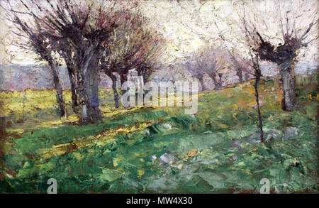 . Englisch: Pollard weiden Kopfweiden Русский English:: ивы Полларда. 1922 12 1922 Rohlfs Kopfweiden anagoria Stockfoto