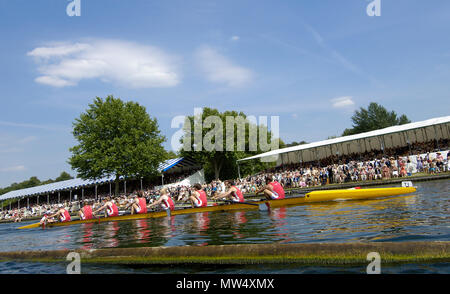 In Henley, Großbritannien. Freitag, 30/06/2006 Henley Royal Regatta, Blick von der Fortschritte, Tempel Challenge Cup, Cornell University [Dollar] vs Tr Stockfoto