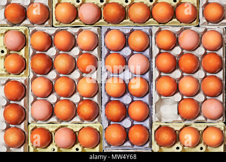 Viele Eier und einzigartige einen leeren Raum über eine Eierkartons. Stockfoto