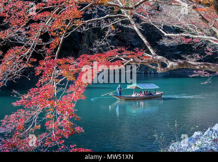 Japan, Kyoto City, Arashi Yama, Blätter im Herbst Stockfoto