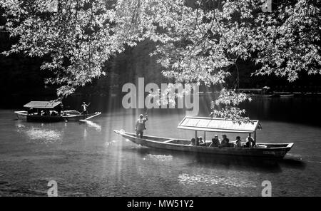 Japan, Kyoto City, Arashi Yama, Blätter im Herbst Stockfoto