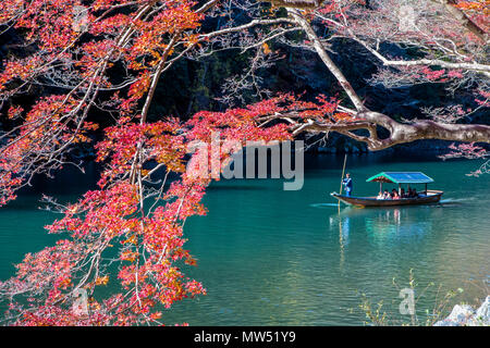 Japan, Kyoto City, Arashi Yama, Blätter im Herbst Stockfoto