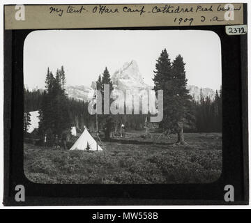 . Mein Zelt. O'Hara Camp.. Eine kleine Glocke Zelt unter Nadelbäume mit einem Berg - Cathedral Peak - hinter sich. 1909 434 Mein Zelt O'Hara Camp YORYM TA 2372. Stockfoto