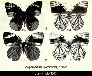 . Englisch: nigeriensis Jackson, 1962, von der ursprünglichen Beschreibung. 1962. Thomas Herbert Jackson 444 NigeriensisJackson 1962 OD Stockfoto