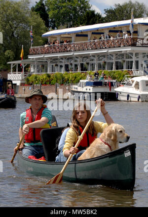 In Henley, GROSSBRITANNIEN, Samstag, 07.07.2007. Henley Royal Regatta, Henley Regatta Kurs-, Freizeit Kanu, plus Hund, Henley Royal Regatta, H Stockfoto