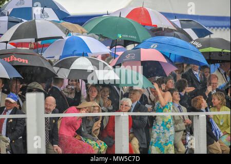 In Henley, GROSSBRITANNIEN, Allgemeine Ansicht, die Stewards Enclosure, 2008 Henley Royal Regatta, am Sonntag, 06.07.2008, Henley on Thames. ENGLAND. [© Stockfoto