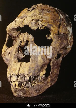 . Čeština: Lebka eine spodní čelist turkanského Chlapce. BAHN, Paul G127 Chlapec od jezera Turkana 03. Stockfoto