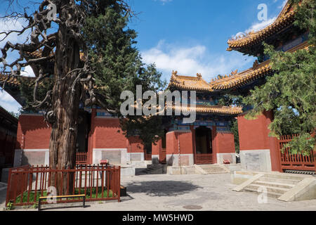 Lama Tempel (yonghegong), Beijing, Peking, Hauptstadt, Stadt, Volksrepublik China, China, chinesisch, Asien, Asiatisch, Stockfoto