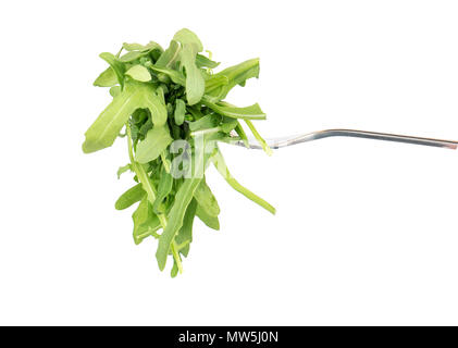 Frische Rucola Blätter auf einer Gabel gegen den weißen Hintergrund Stockfoto