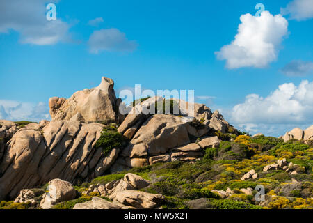 Eine der vielen Felsformationen (ein Schwein Gesicht geformten Felsen) in Valle della Luna auf Capo Testa, Santa Teresa Gallura, Sardinien Stockfoto