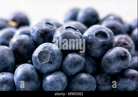 Bündel von lecker, saftig, frisch und gesund Blaubeeren gegen den weißen Hintergrund Stockfoto