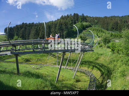 Sommerrodelbahn in Gutach, Schwarzwald, Baden-Württemberg, Deutschland, Europa | Chemische Rodelbahn am Dorf Gutach, Schwarzwald, Baden-Wuerttem Stockfoto