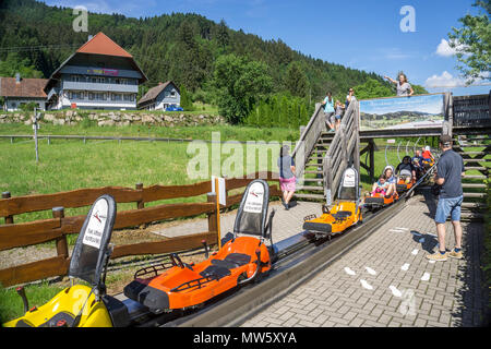 Sommerrodelbahn in Gutach, Schwarzwald, Baden-Württemberg, Deutschland, Europa | Chemische Rodelbahn am Dorf Gutach, Schwarzwald, Baden-Wuerttem Stockfoto