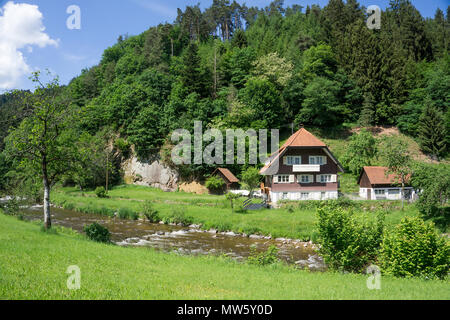 Schwarzwald Häuser in Endingen Fluss, Dorf Gutach, Schwarzwald, Baden-Württemberg, Deutschland, Europa Stockfoto