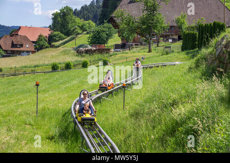 Sommerrodelbahn in Gutach, Schwarzwald, Baden-Württemberg, Deutschland, Europa | Chemische Rodelbahn am Dorf Gutach, Schwarzwald, Baden-Wuerttem Stockfoto