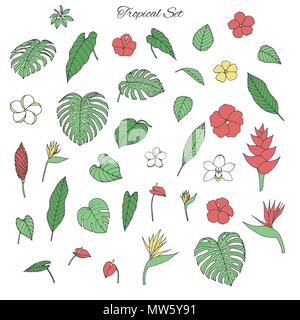 Vektor tropischen Sammlung mit monstera und Bananenblättern, Hibiskus, Heliconia, plumeria, Anthurium, Orchideen und Bird of paradise Blumen auf isolierte Stock Vektor