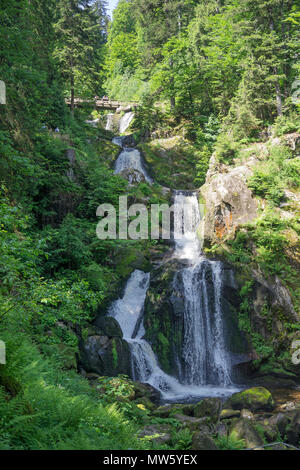 Triberger Wasserfälle, einer der höchsten Wasserfälle in Deutschland, Triberg, Schwarzwald, Baden-Württemberg, Deutschland, Europa Stockfoto