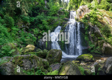 Triberger Wasserfälle, einer der höchsten Wasserfälle in Deutschland, Triberg, Schwarzwald, Baden-Württemberg, Deutschland, Europa Stockfoto