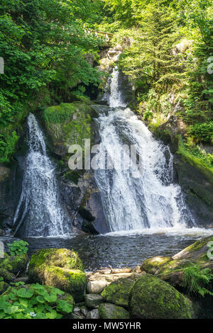 Triberger Wasserfälle, einer der höchsten Wasserfälle in Deutschland, Triberg, Schwarzwald, Baden-Württemberg, Deutschland, Europa Stockfoto