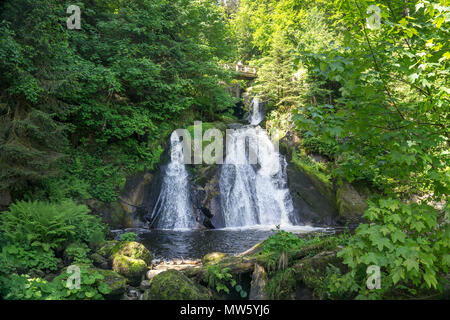 Triberger Wasserfälle, einer der höchsten Wasserfälle in Deutschland, Triberg, Schwarzwald, Baden-Württemberg, Deutschland, Europa Stockfoto