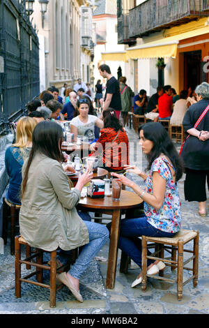 Die Menschen außerhalb des beliebten Cafe oder die Brasserie "La Tetería", Calle San Agustin, Malaga, Andalusien, Spanien sitzen Stockfoto