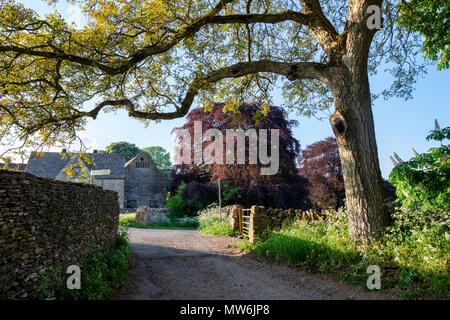 Abend Lujiang im cotswold Dorf Notgrove. Notgrove Cotswolds, Gloucestershire, England Stockfoto