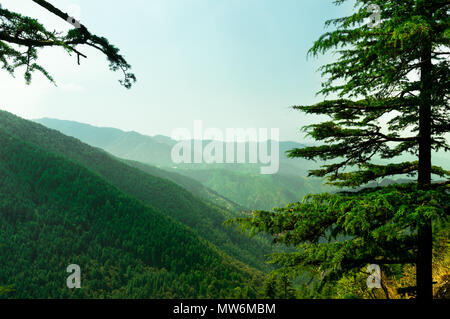 Himalayan range mit Bäumen Fading in die Ferne abgedeckt und mit Kiefern bedeckt. Himachal Pradesh hat viele Sehenswürdigkeiten, was es zu einem touristischen Favorit für den Sommerurlaub Stockfoto