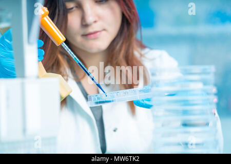 Technikerin im medizinischen Labor, Krankenhaus Petrischale Test Stockfoto