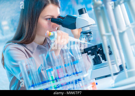 Junge Chemiker im Labor. Wissenschaftler mit Mikroskop im Labor Stockfoto