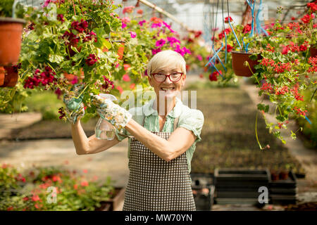 Portrait von Happy senior Floristin Frau stehen und mit Feldspritze im großen Blumengarten Stockfoto