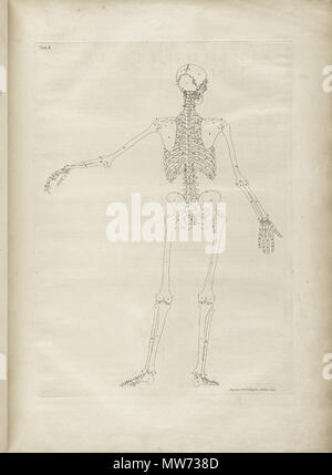 . Englisch: Autor: Schmidt, Bernhard Siegried, 1697-1770. Artist: Wandelaar, Jan, 1690-1759. Graveure: Charles Grignion (1717-1810); Jean-Baptiste Scotin (b. 1678); Ludovico-Antonio Ravenet (Fl. 1751); und Louis-Pierre Boitard (Fl. 1750). Titel: Tabulae sceleti et musculorum corporis Humani. Titel, wie es auf der Titelseite erscheint: Bernardi Siegfried Albini Tabulae sceleti et musculorum corporis Humani. Publikation: Londini: Typis H. Woodfall, impensis Johannis et Pauli Knapton, M.DCC. Xlix. [1749]. Sortierung: [94] S., XXV [d. h. 40] Blätter der Platten; 72 cm. Allgemeine Hinweise: Erste in Le veröffentlicht. Stockfoto