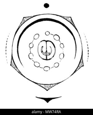 . DescriptionAmorpha fruticosa Blume Diagramme.png Abbildung aus Buch Datum 1891 Quelle Leguminosae. in A. Engler (Hg.): Natürliche Pflanzenfamilien. Vol. III, 3. Autor Paul Hermann Wilhelm Taubert (1862-1897) Weitere Ausführungen siehe Http://www.biolib.de. 4. April 2010, 13:31 (UTC). Faboideae Diagramme Taub48.png: Paul Hermann Wilhelm Taubert (1862-1897) abgeleitete Arbeit: GreenZmiy (Talk) 42 Amorpha fruticosa Blume Diagramme Stockfoto