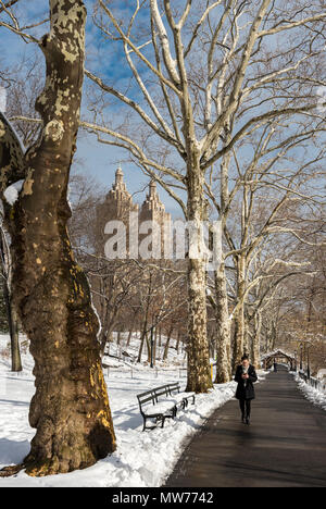 Frau geht bei Schnee im Winter im Central Park, New York City, USA Stockfoto