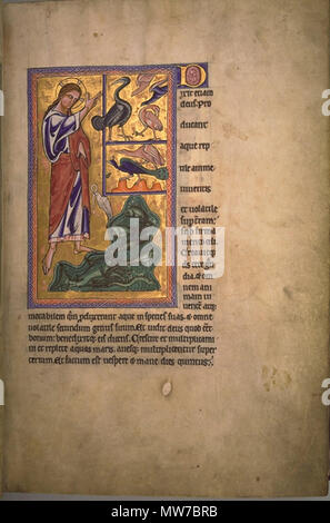 . Entstehung der Vögel und Fische. Folio 2 recto vom Aberdeen Bestiary. 12. Jahrhundert 24 AberdeenBestiaryFolio 002 rCreationOfBirdsFish Stockfoto