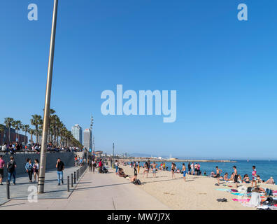 Strand von Barcelona. Der Strand und die Passeig Maritim in La Barceloneta, Barcelona, Spanien Stockfoto