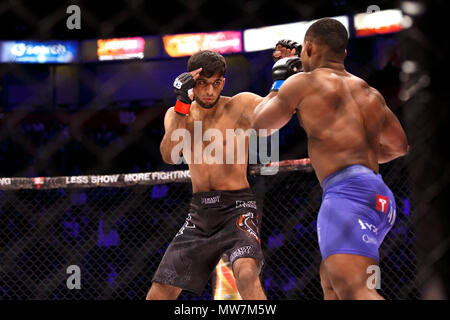 Shoaib Yousaf (links) im Vergleich Javonne Morrison bei ACB 54 in der yousaf Heimatstadt Manchester, UK. Yousaf gewann in der ersten Runde durch TKO. Absolute Meisterschaft Berkut, Mixed Martial Arts, MMA. Stockfoto