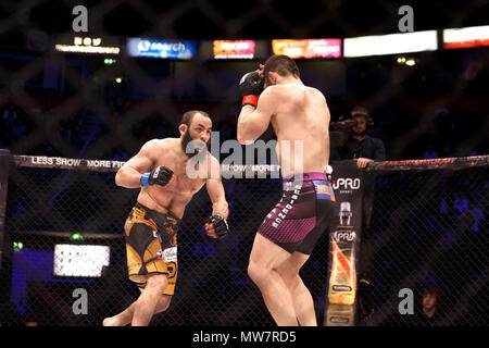 Aslambek Saidov (links) startet einen Angriff auf Ion Pascu während Ihrem Kampf an ACB 54 in Manchester, UK. Saidov gewann durch einen einstimmigen Beschluss. Absolute Meisterschaft Berkut, Mixed Martial Arts, MMA kämpfen. Stockfoto