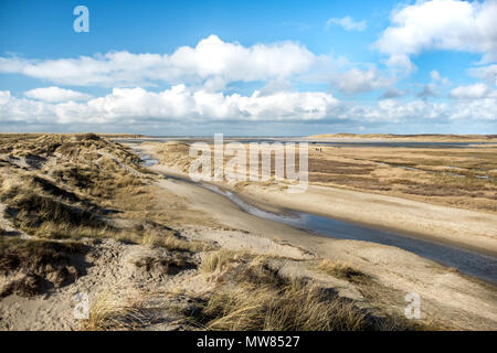 Blick auf De Slufter, einem Naturschutzgebiet in Texel, Niederlande. Stockfoto