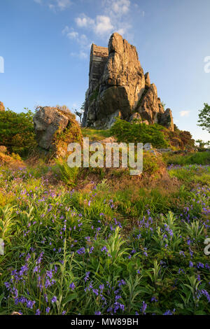 Frühling Blumen bei Roche Rock Stockfoto