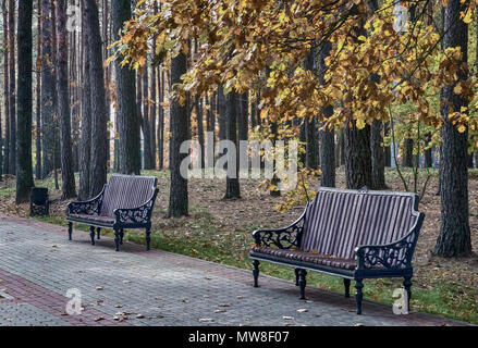 Herbst Landschaft: Allee im Park mit bequemen Bänken zum Ausruhen, auf dem Boden und auf den Ästen der Bäume gelbe Blätter. Stockfoto