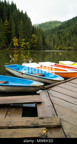 Lacu Rosu, Red Lake, Karpaten, Moldawien, Rumänien Stockfoto