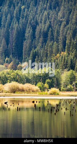 Lacu Rosu, Red Lake, Karpaten, Moldawien, Rumänien Stockfoto