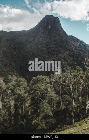 Berg mit Blick auf die beliebte Wanderung durch Cocora Tal im Salento, Kolumbien, dem höchsten Palmen in die Welt zu sehen Stockfoto