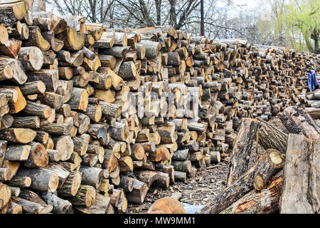 Holzschnitt auf dem Betriebshof des Protokolls und zum Verkauf bereit. Stockfoto