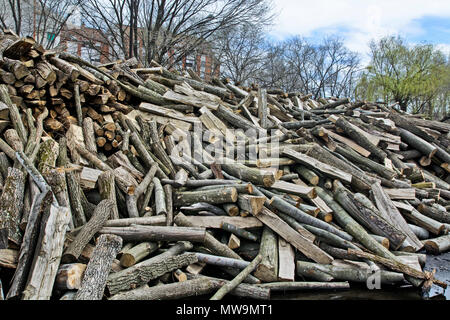 Holzschnitt auf dem Betriebshof des Protokolls und zum Verkauf bereit. Stockfoto