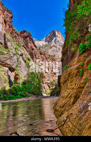 Eingang zum verengt. Am Ende der Flußufer zu Fuß über die Tempel von Sinakava. Zion National Park. Stockfoto